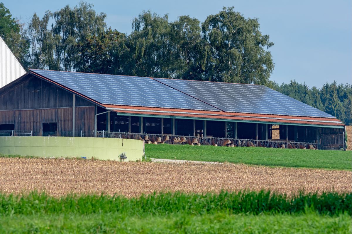 fotovoltaico agricolo
